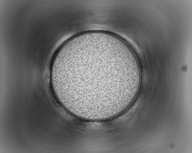 X0000102281317200808221254