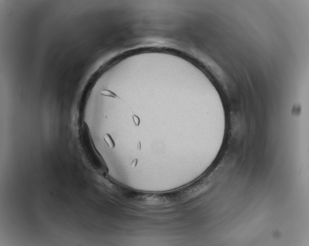 X0000102281318200808221254