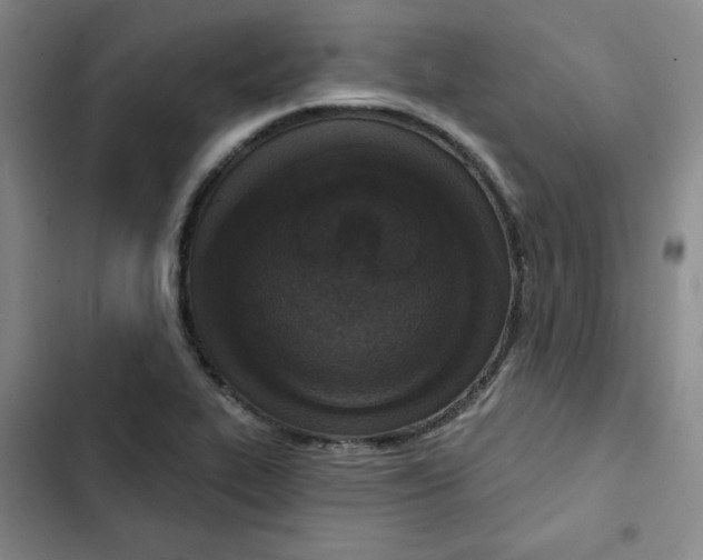 X0000102281319200808221254