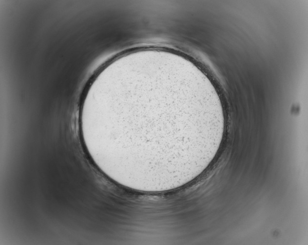 X0000102281320200808221254