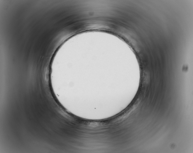 X0000102281322200808221255