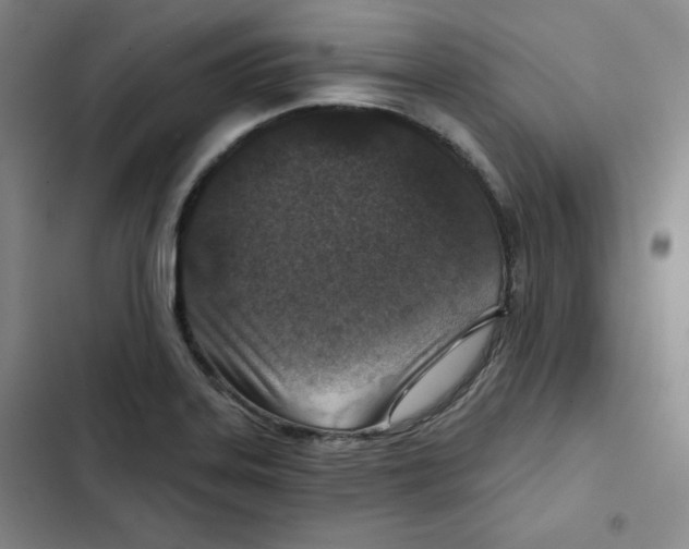 X0000102281323200808221255