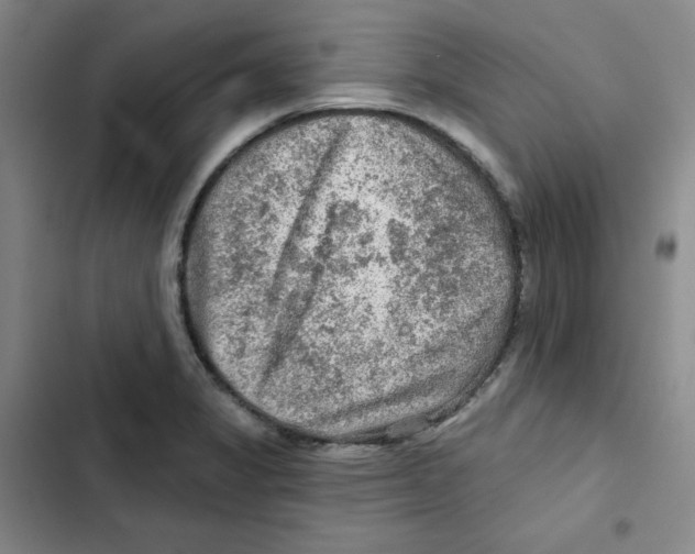 X0000102281325200808221255