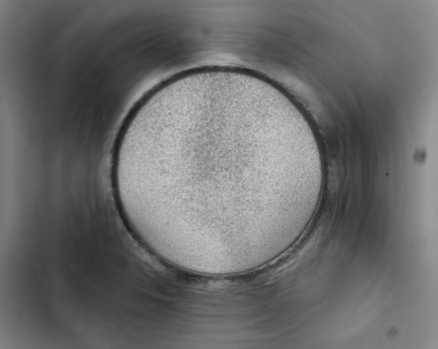 X0000102281326200808221255