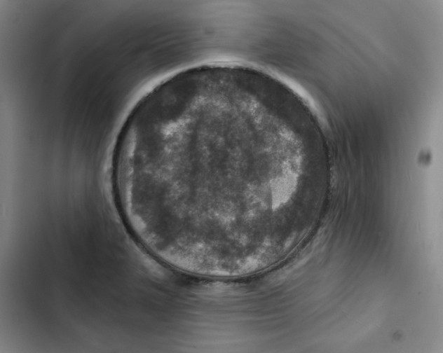 X0000102281327200808221255