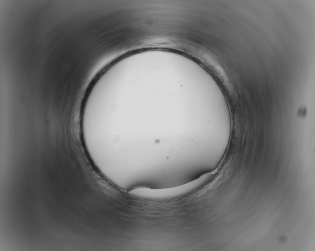X0000102281328200808221255