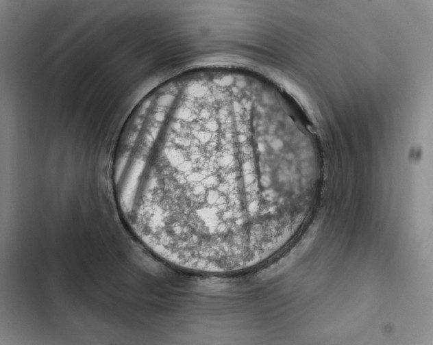 X0000102281329200808221255
