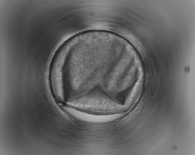 X0000102281331200808221255