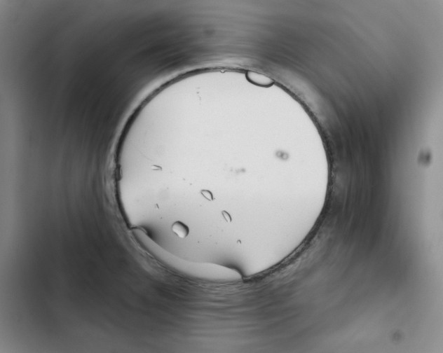 X0000102281332200808221255