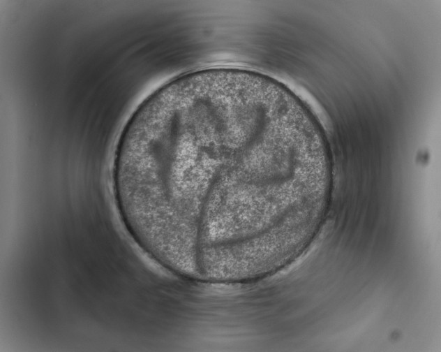 X0000102281333200808221255