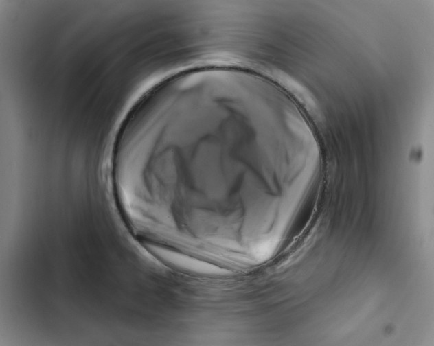 X0000102281334200808221255