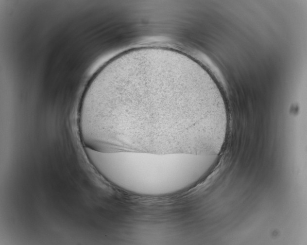 X0000102281336200808221255