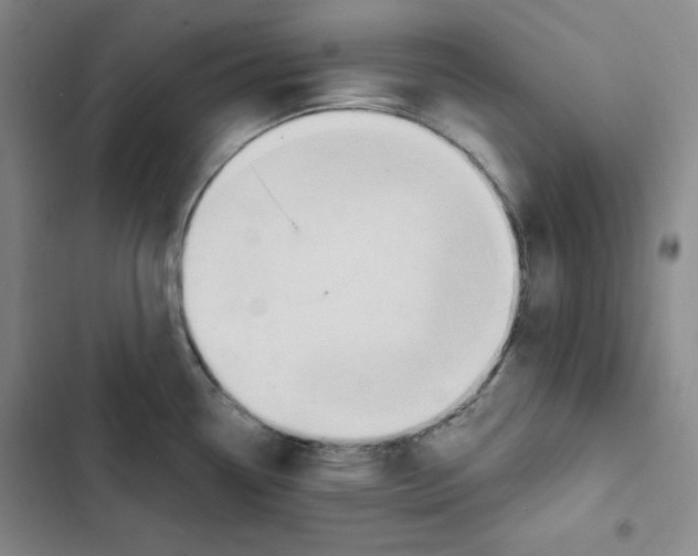 X0000102281338200808221255