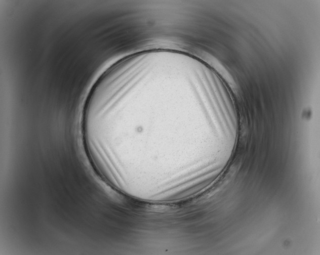 X0000102281339200808221255