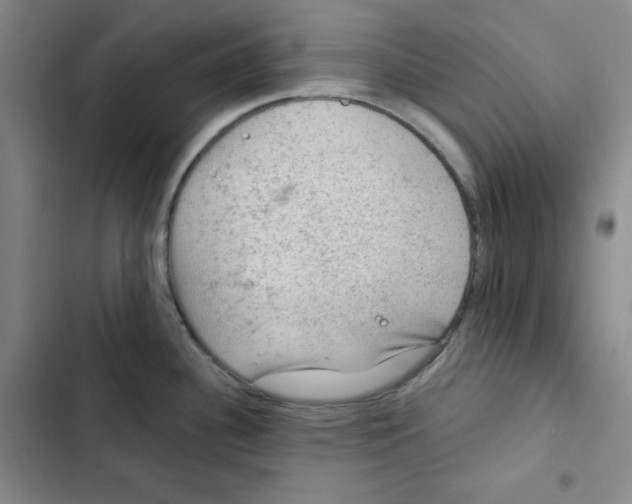 X0000102281340200808221255