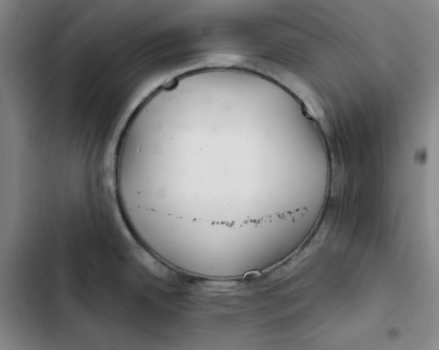 X0000102281342200808221255
