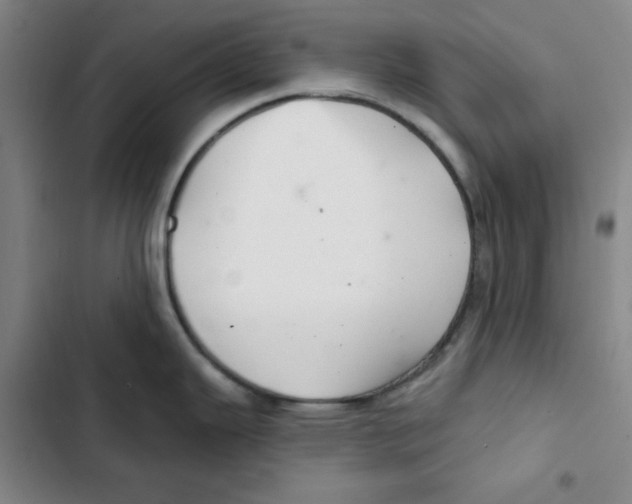 X0000102281343200808221255
