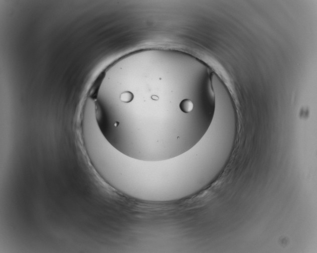X0000102281344200808221255