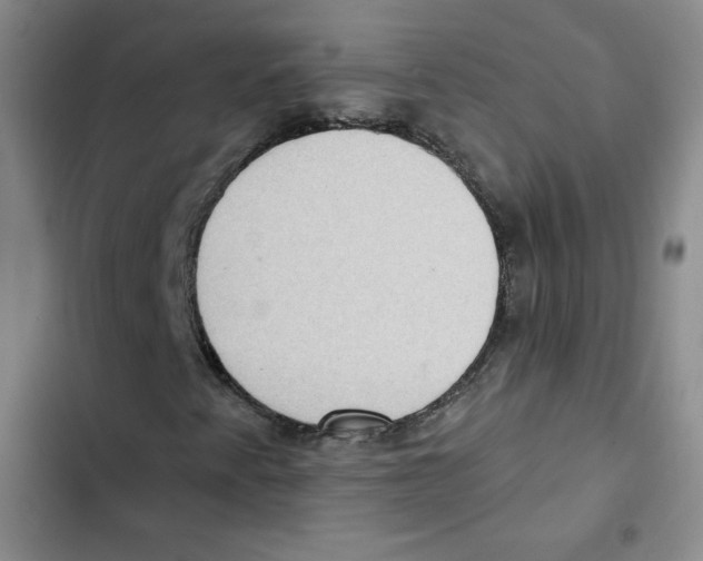 X0000102281345200808221254