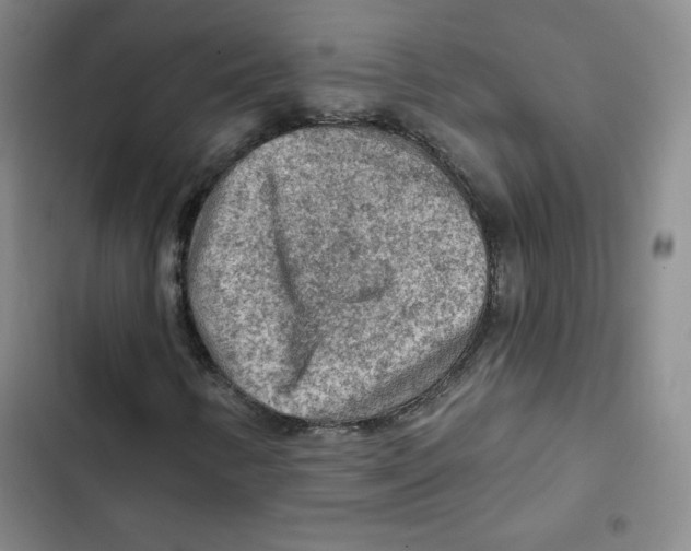 X0000102281346200808221254