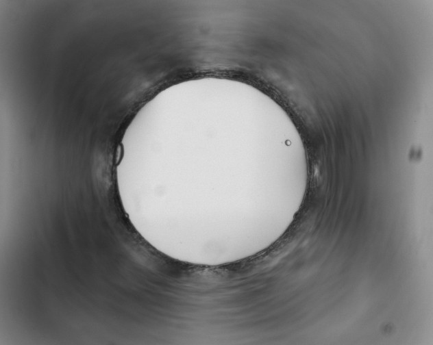 X0000102281348200808221254