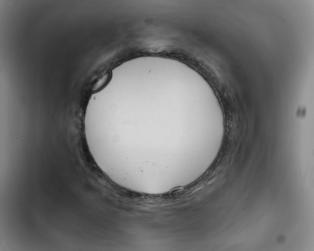X0000102281349200808221254