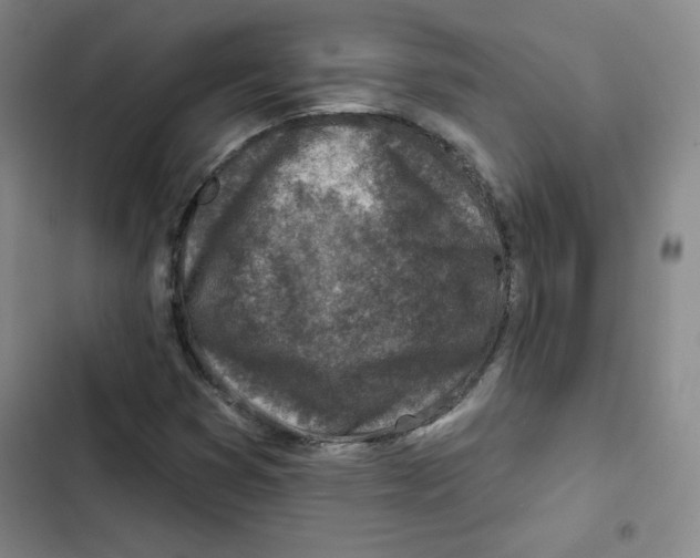 X0000102281353200808221254