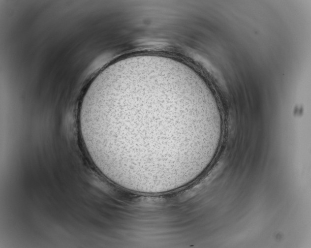 X0000102281354200808221254