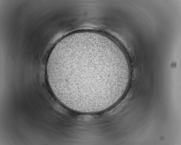 X0000102281355200808221254
