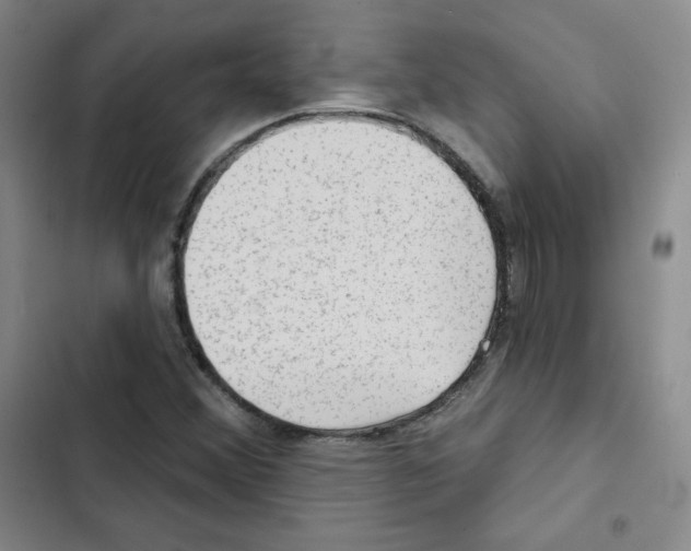 X0000102281356200808221254