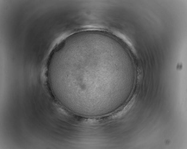 X0000102281357200808221254