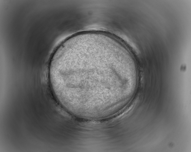 X0000102281358200808221254