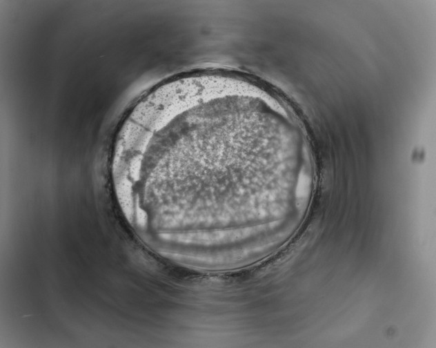 X0000102281359200808221254
