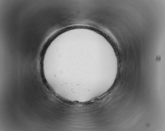 X0000102281360200808221254