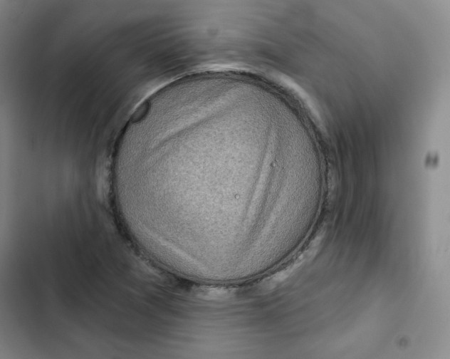 X0000102281361200808221254