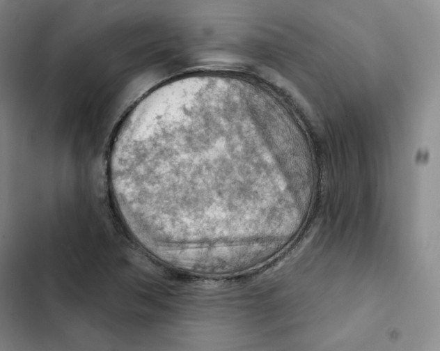 X0000102281362200808221254