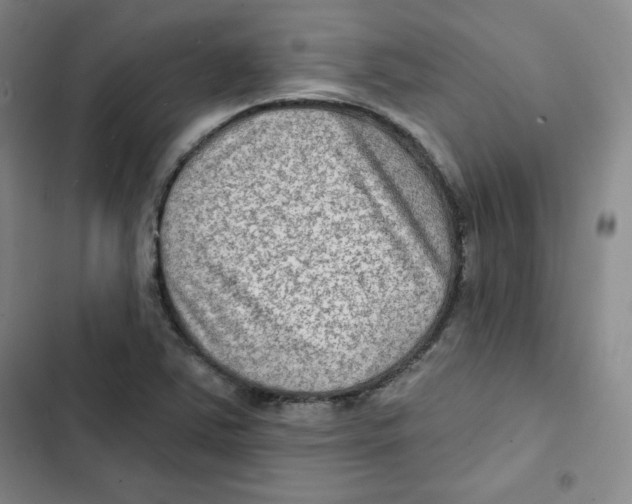 X0000102281363200808221254