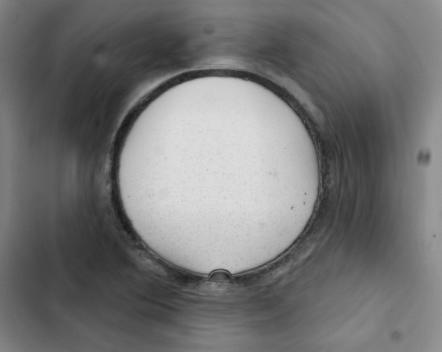 X0000102281364200808221254
