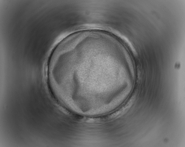 X0000102281365200808221254