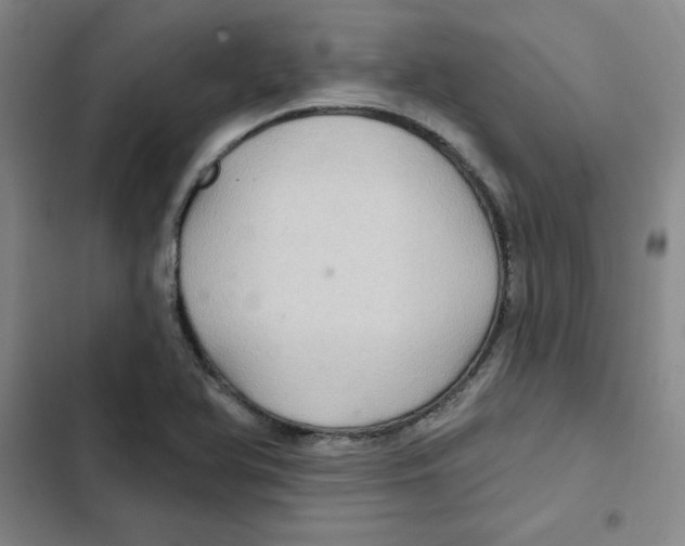 X0000102281366200808221254