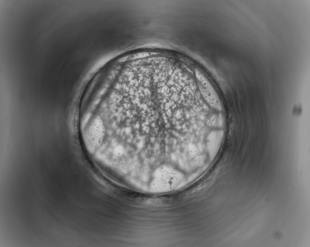 X0000102281367200808221254