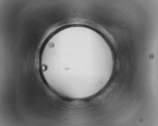 X0000102281368200808221254