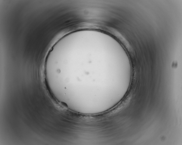 X0000102281370200808221254