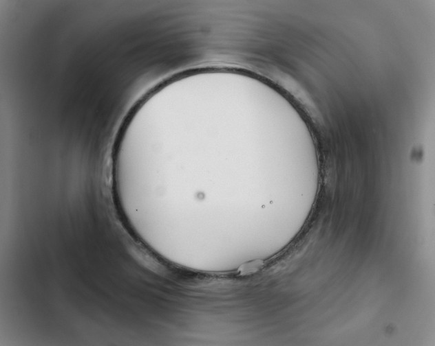 X0000102281372200808221254