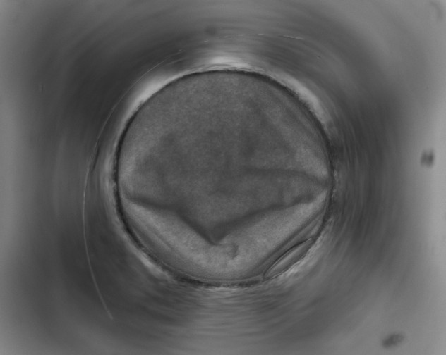 X0000102281373200808221254