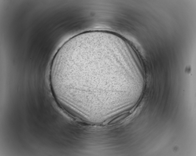 X0000102281374200808221254