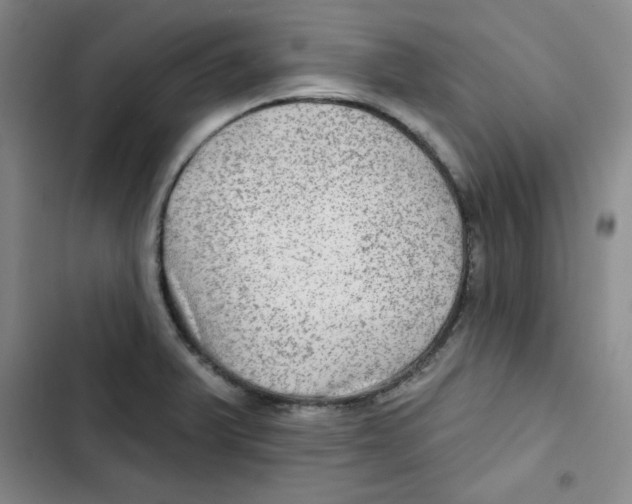 X0000102281375200808221254