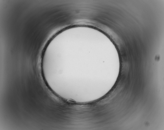 X0000102281376200808221254