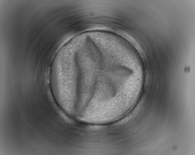 X0000102281377200808221254