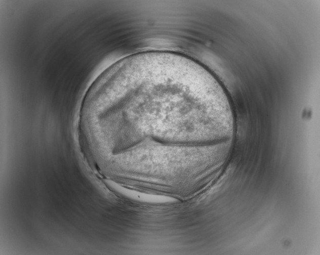 X0000102281378200808221254